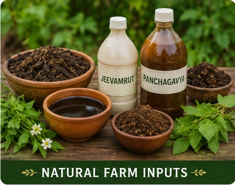 Natural Farm Inputs