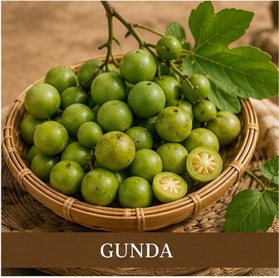 Gunda